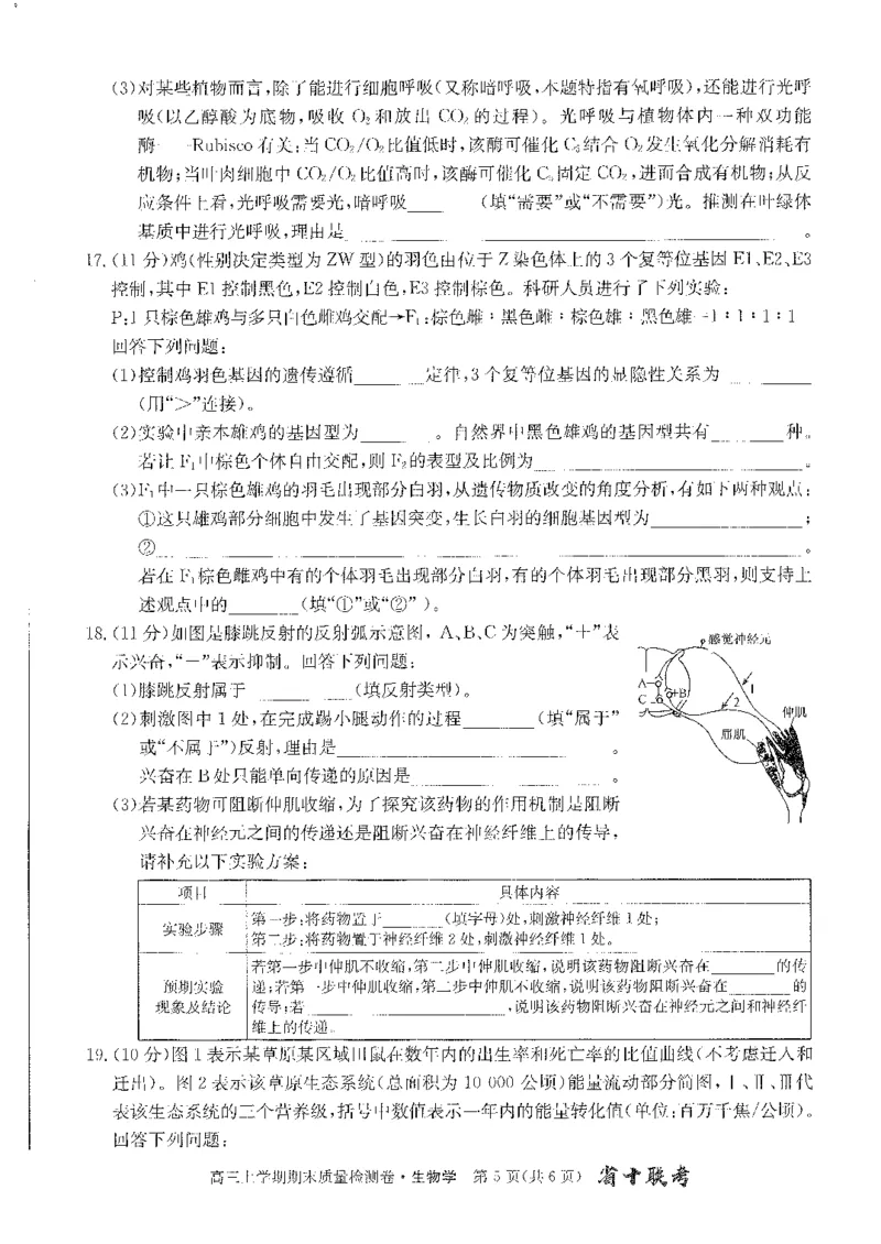 安徽省合肥市第一中学2023-2024学年高三上学期期末考试生物试题_2024年2月_01每日更新_01号_2024届安徽省合肥市第一中学高三上学期期末质量检测