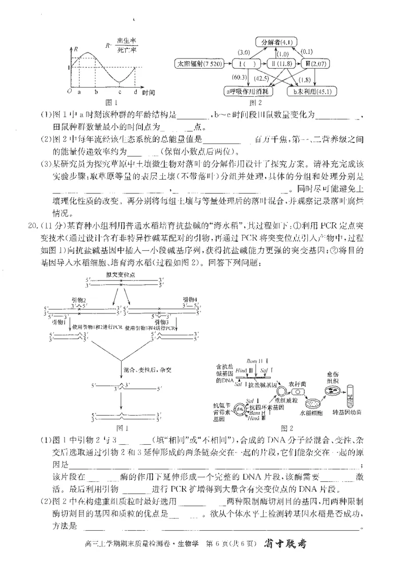 安徽省合肥市第一中学2023-2024学年高三上学期期末考试生物试题_2024年2月_01每日更新_01号_2024届安徽省合肥市第一中学高三上学期期末质量检测