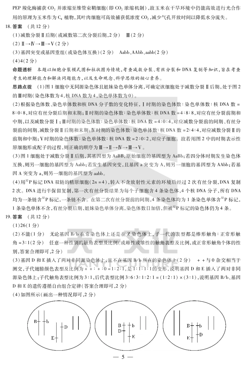 生物学湖南高一下期末详细答案_2024-2025高一（7-7月题库）_2025年7月_250703天一大联考&middot;湖南省2024-2025学年（下）高一年级期末考试