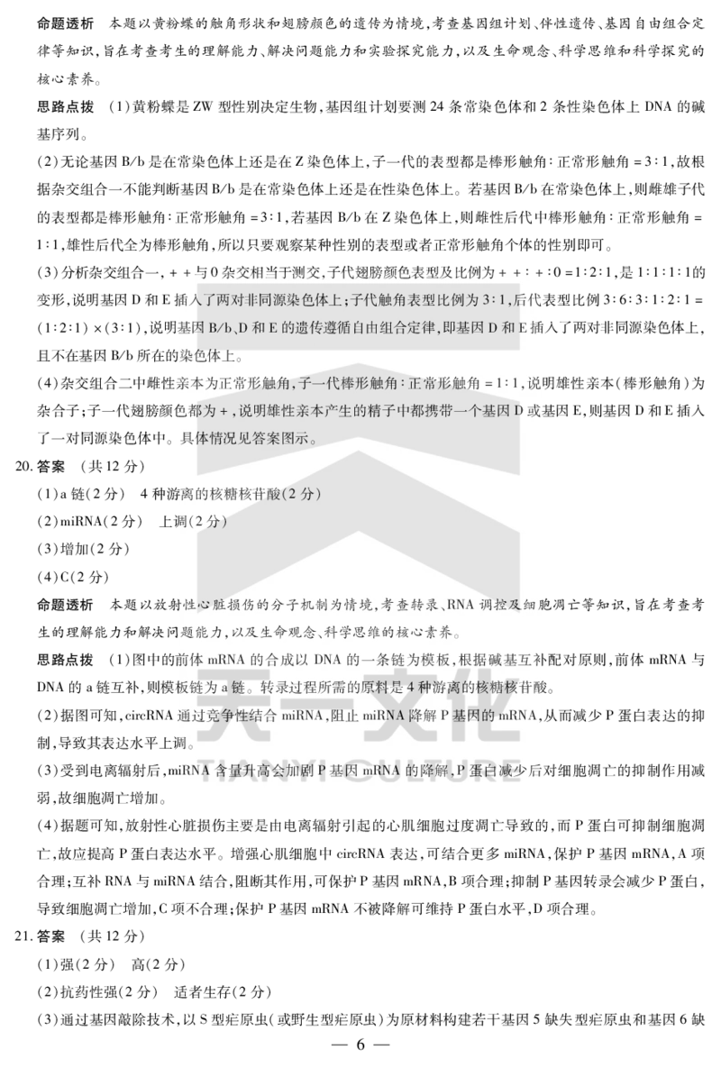 生物学湖南高一下期末详细答案_2024-2025高一（7-7月题库）_2025年7月_250703天一大联考&middot;湖南省2024-2025学年（下）高一年级期末考试
