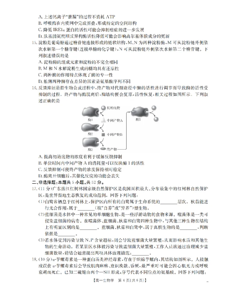 河南省2025-2026年度高一年级上学期第三次月考试卷（26-179A）生物_2024-2025高一（7-7月题库）_2026年1月高一_260107金太阳&middot;河南省2025-2026年度高一年级上学期第三次月考试卷（26-179A）（全）