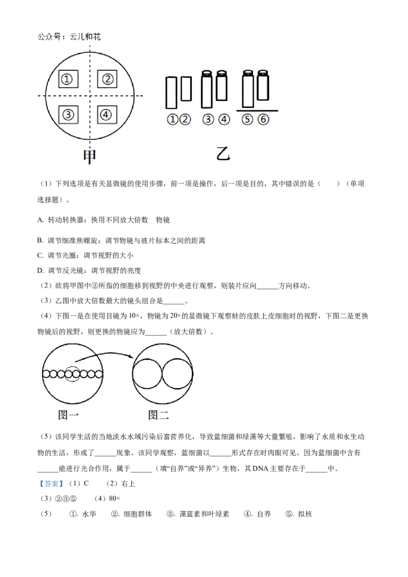 湖北省新高考联考协作体2024-2025学年高一上学期9月月考生物试题Word版含解析_2024-2025高一（7-7月题库）_2024年10月试卷_1024湖北省新高考联考协作体2024-2025学年高一上学期9月联考