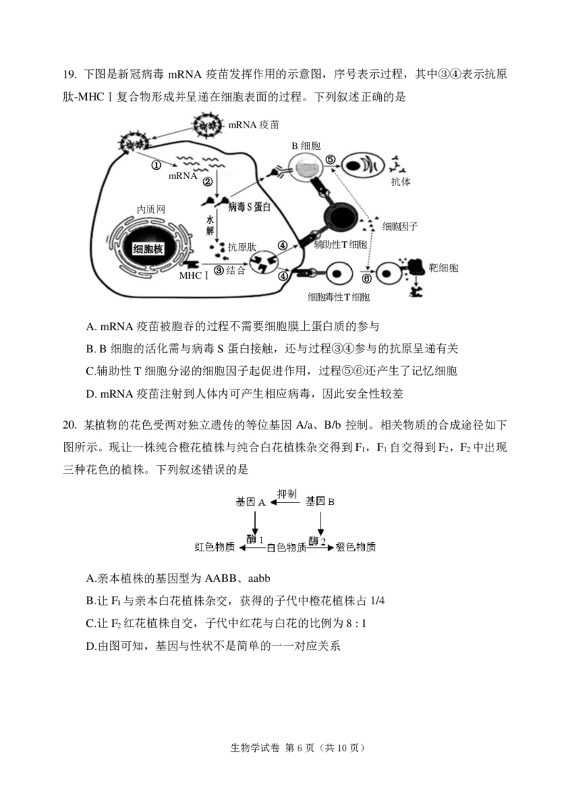 大连二模生物试题_2024年5月_01按日期_11号_2024届辽宁省大连市高三下学期适应性测试（二模）_2024届辽宁省大连市高三二模生物