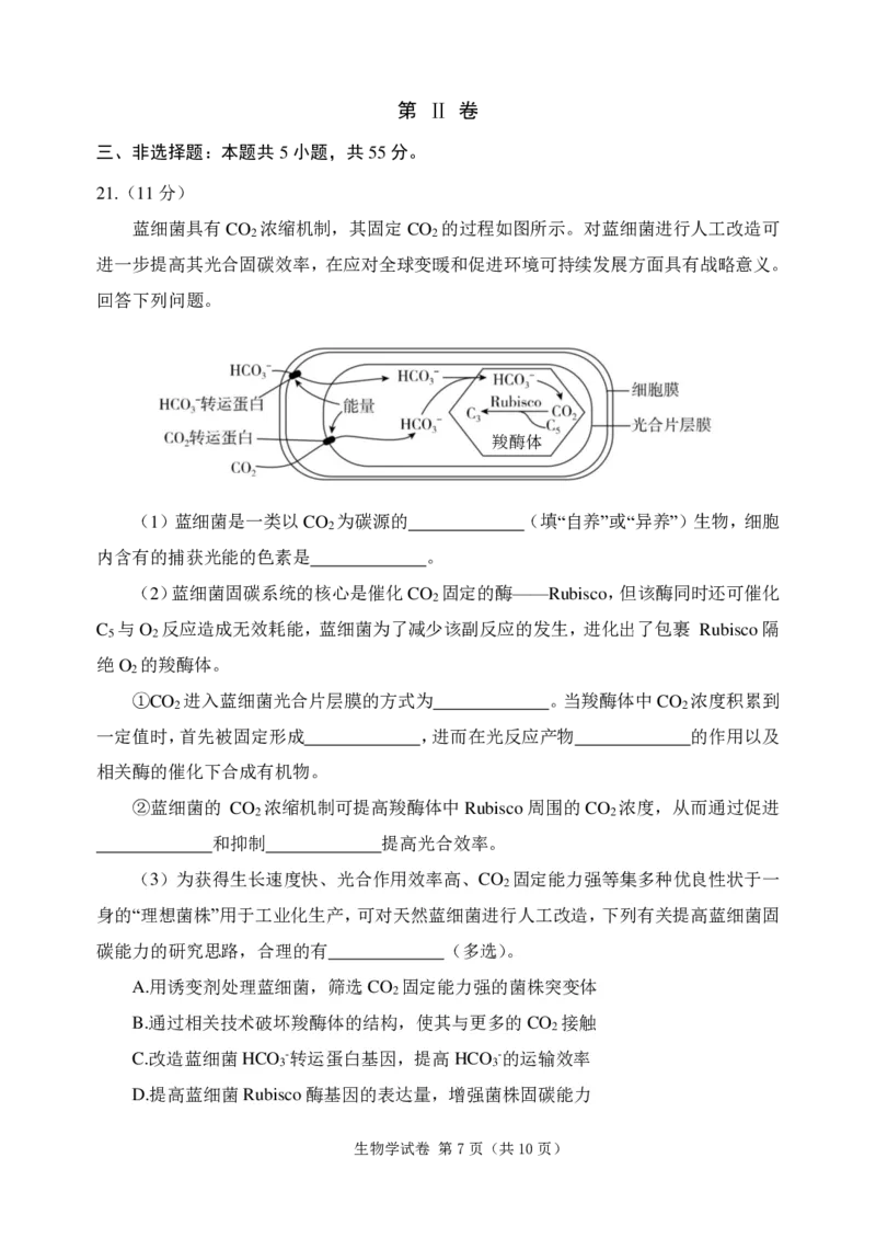 大连二模生物试题_2024年5月_01按日期_11号_2024届辽宁省大连市高三下学期适应性测试（二模）_2024届辽宁省大连市高三二模生物