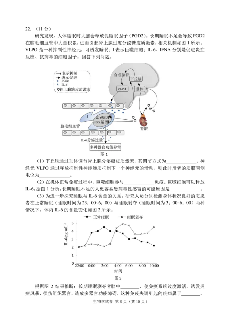 大连二模生物试题_2024年5月_01按日期_11号_2024届辽宁省大连市高三下学期适应性测试（二模）_2024届辽宁省大连市高三二模生物