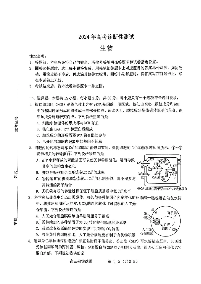 山东省烟台德州东营2024年高考诊断性测试生物(1)_2024年3月_013月合集_2024届山东省&ldquo;烟台一模&rdquo;2024年3月高考诊断性测试