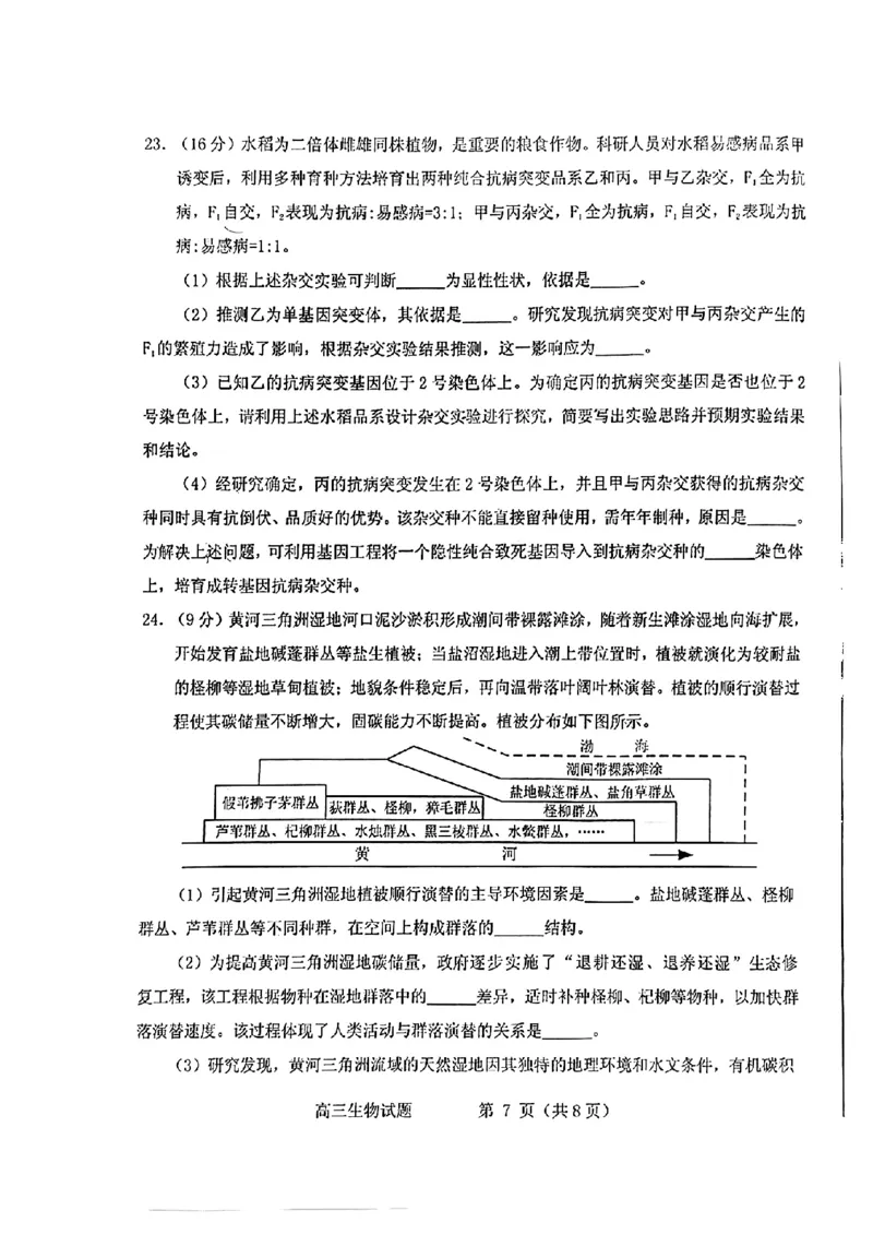 山东省烟台德州东营2024年高考诊断性测试生物(1)_2024年3月_013月合集_2024届山东省&ldquo;烟台一模&rdquo;2024年3月高考诊断性测试