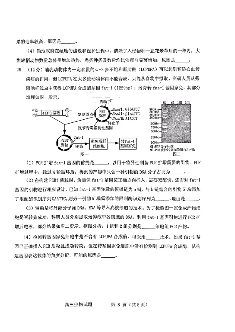 山东省烟台德州东营2024年高考诊断性测试生物(1)_2024年3月_013月合集_2024届山东省&ldquo;烟台一模&rdquo;2024年3月高考诊断性测试