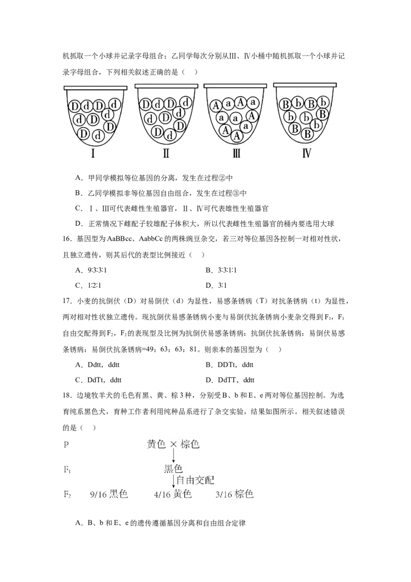 黑龙江省哈尔滨市第九中学2024-2025学年高一下学期4月月考试题生物Word版含答案_2024-2025高一（7-7月题库）_2025年05月试卷