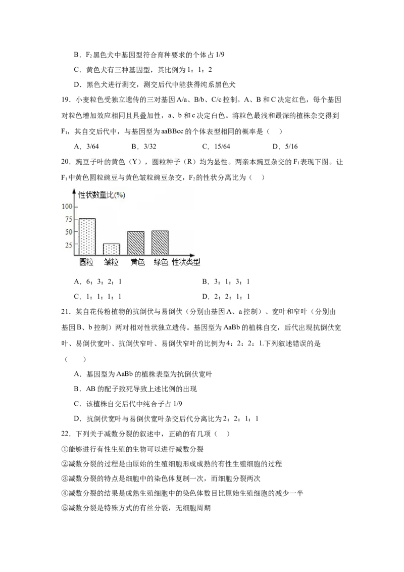 黑龙江省哈尔滨市第九中学2024-2025学年高一下学期4月月考试题生物Word版含答案_2024-2025高一（7-7月题库）_2025年05月试卷
