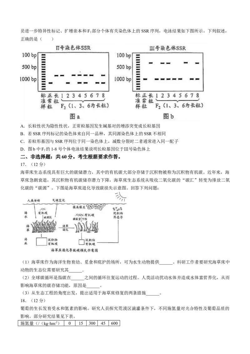 广东省广州市2024届高三下学期二模生物试题(1)_2024年4月_024月合集_2024届广东省广州市普通高中高三下学期二模物理试卷