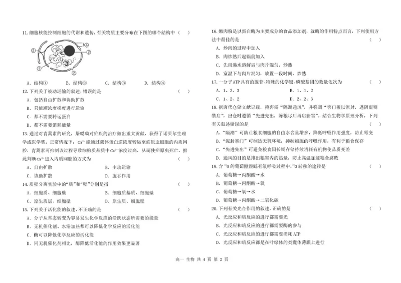 甘肃省兰州市八校联考2025-2026学年高一上学期期末考试生物试卷(图片版含答案)_2024-2025高一（7-7月题库）_2026年1月高一_260122甘肃省兰州市八校联考2025-2026学年高一上学期期末考试（全）