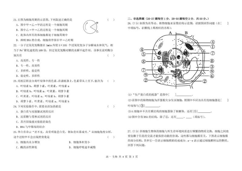 甘肃省兰州市八校联考2025-2026学年高一上学期期末考试生物试卷(图片版含答案)_2024-2025高一（7-7月题库）_2026年1月高一_260122甘肃省兰州市八校联考2025-2026学年高一上学期期末考试（全）