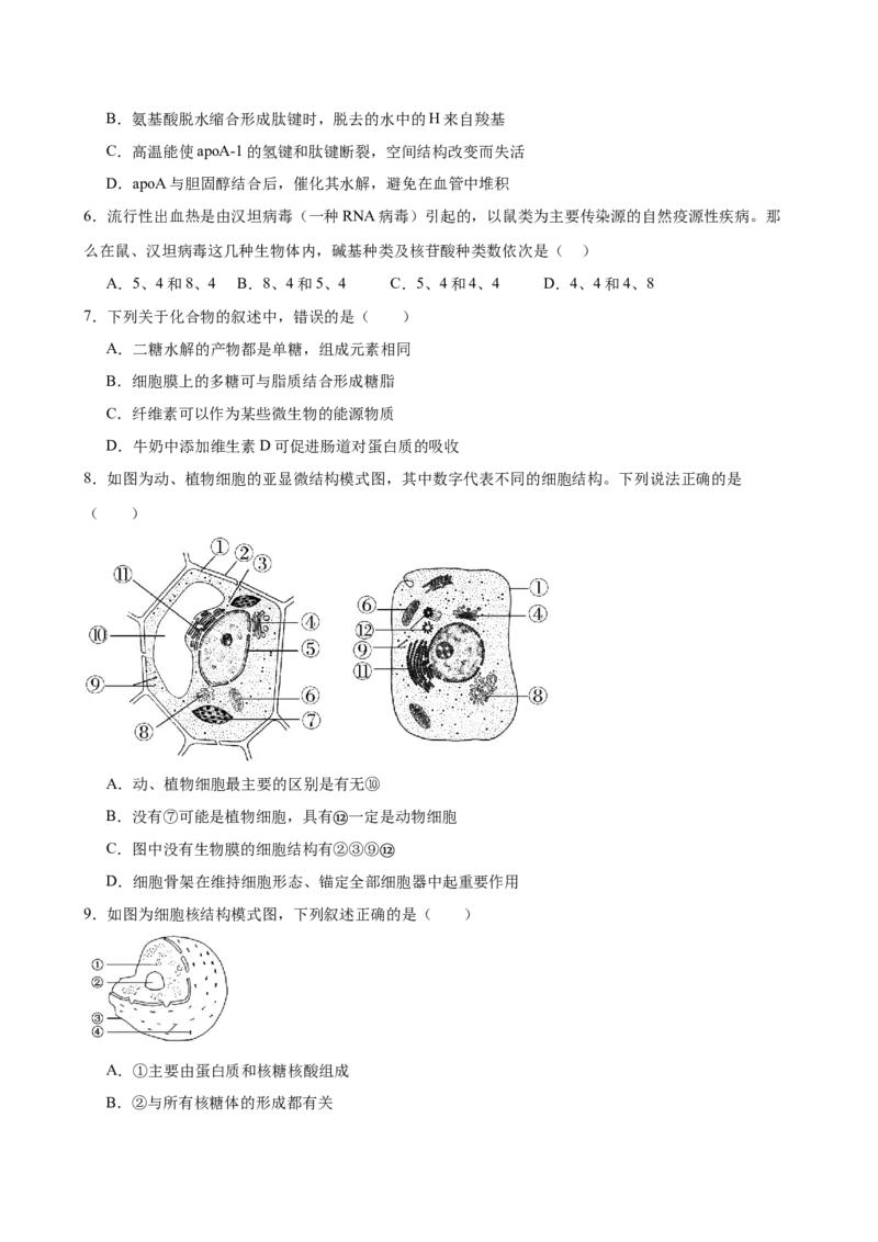河南省驻马店市新蔡县第一高级中学2024-2025学年高一下学期开学考试生物学试题（含答案）_2024-2025高一（7-7月题库）_2025年03月试卷