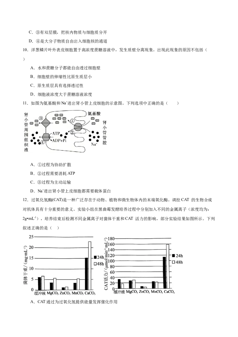 河南省驻马店市新蔡县第一高级中学2024-2025学年高一下学期开学考试生物学试题（含答案）_2024-2025高一（7-7月题库）_2025年03月试卷