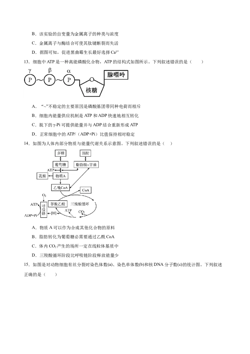 河南省驻马店市新蔡县第一高级中学2024-2025学年高一下学期开学考试生物学试题（含答案）_2024-2025高一（7-7月题库）_2025年03月试卷