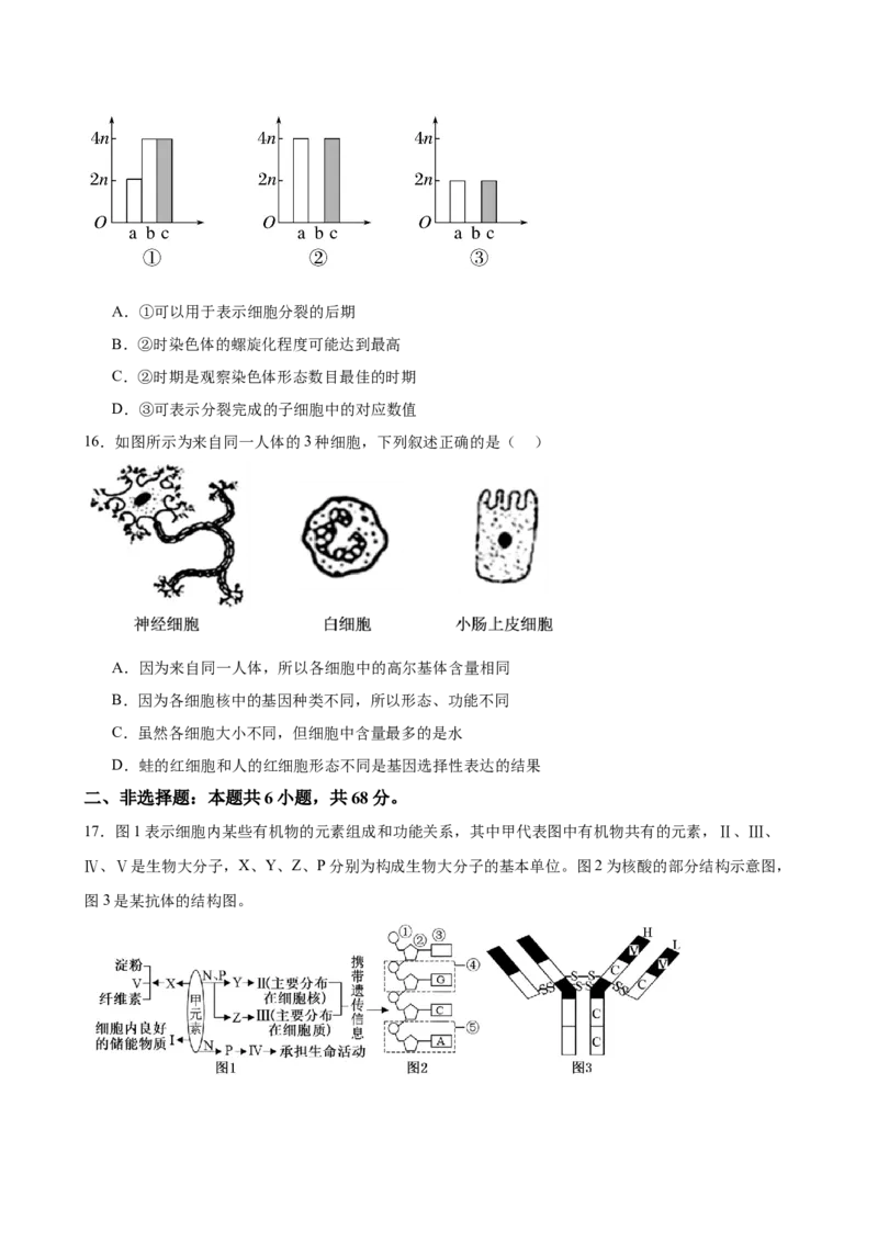河南省驻马店市新蔡县第一高级中学2024-2025学年高一下学期开学考试生物学试题（含答案）_2024-2025高一（7-7月题库）_2025年03月试卷