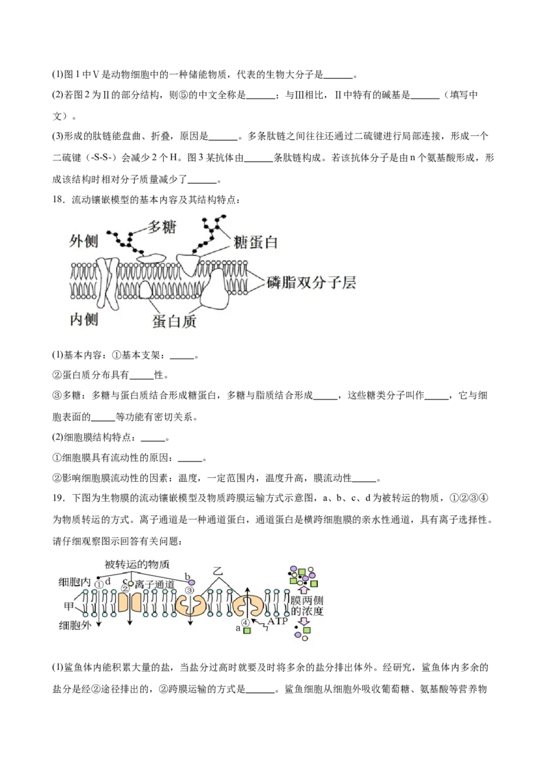 河南省驻马店市新蔡县第一高级中学2024-2025学年高一下学期开学考试生物学试题（含答案）_2024-2025高一（7-7月题库）_2025年03月试卷