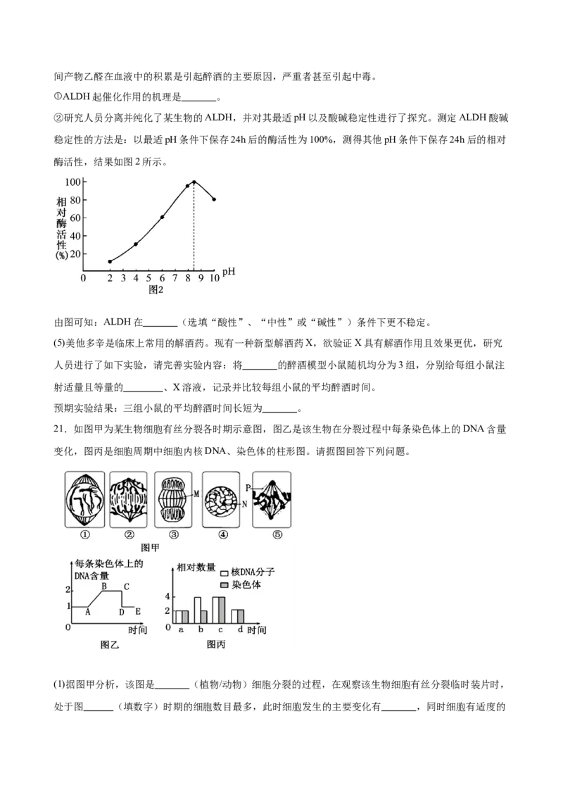河南省驻马店市新蔡县第一高级中学2024-2025学年高一下学期开学考试生物学试题（含答案）_2024-2025高一（7-7月题库）_2025年03月试卷
