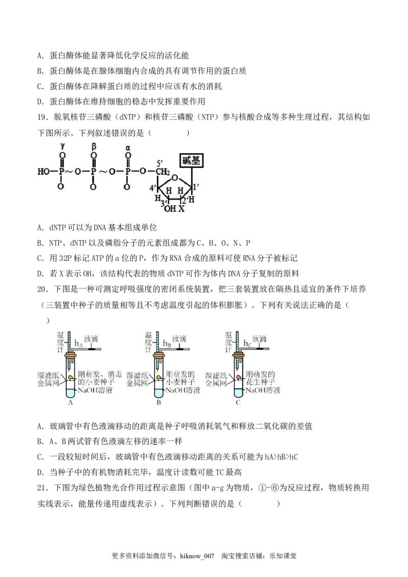 综合拉练卷02（原卷版）_E015高中全科试卷_生物试题_必修1_4.期末试卷_1.模拟题_综合拉练卷02-2022-2023学年上学期高一生物期末考试综合拉练卷（人教版2019必修1）