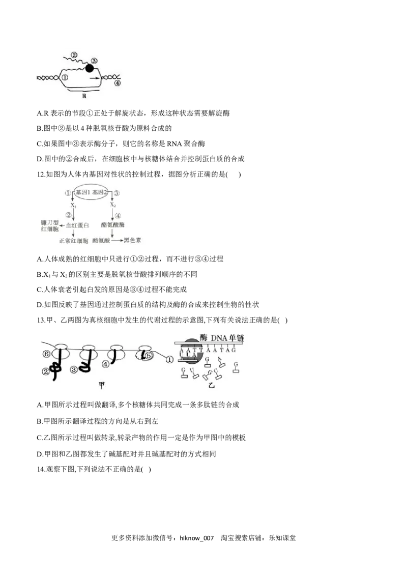 高一生物下学期期末测试卷01（新教材必修二）（原卷版）_E015高中全科试卷_生物试题_必修2_4.期末试卷_高一生物下学期期末测试卷01（新教材必修二）(13754151)