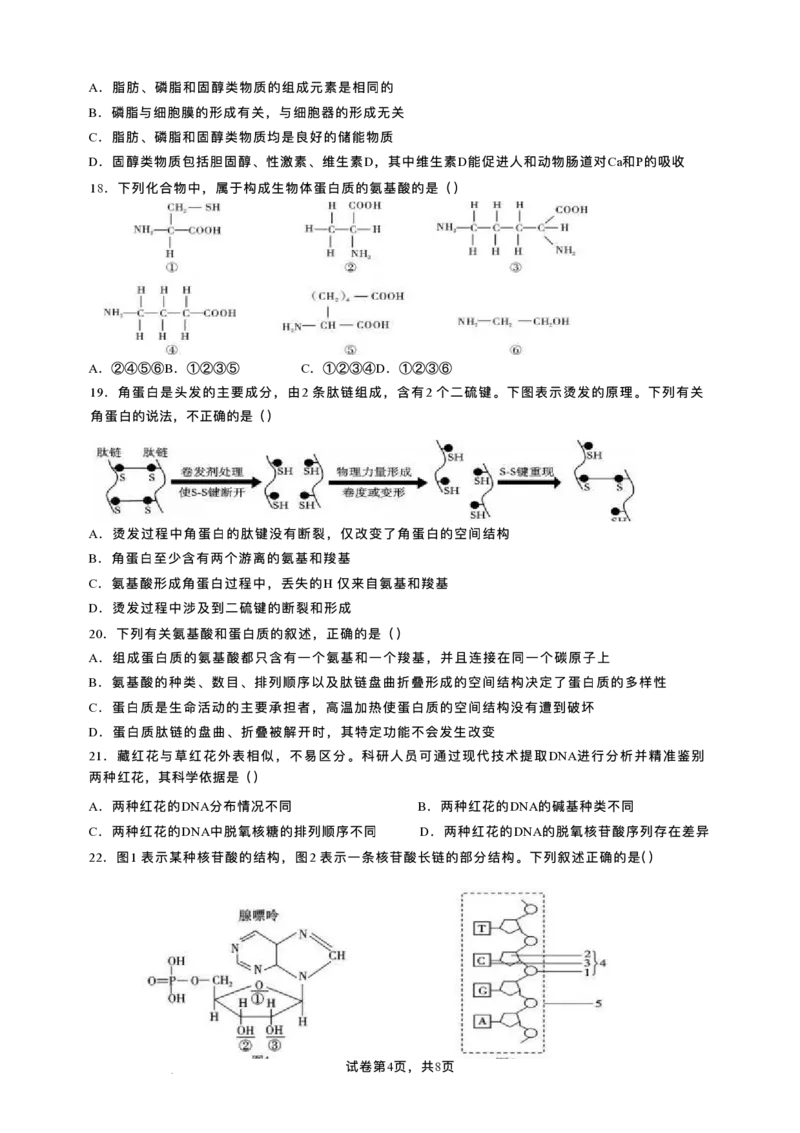 重庆市复旦中学教共体2025-2026学年高一上学期第二次段考生物试题含答案_2024-2025高一（7-7月题库）_2026年1月高一_260102重庆市复旦中学教共体2025-2026学年高一上学期第二次段考（全）