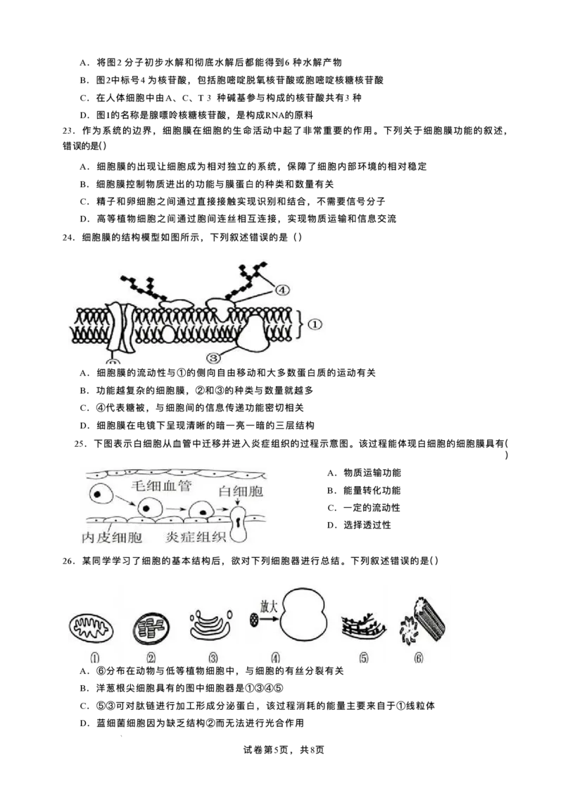 重庆市复旦中学教共体2025-2026学年高一上学期第二次段考生物试题含答案_2024-2025高一（7-7月题库）_2026年1月高一_260102重庆市复旦中学教共体2025-2026学年高一上学期第二次段考（全）