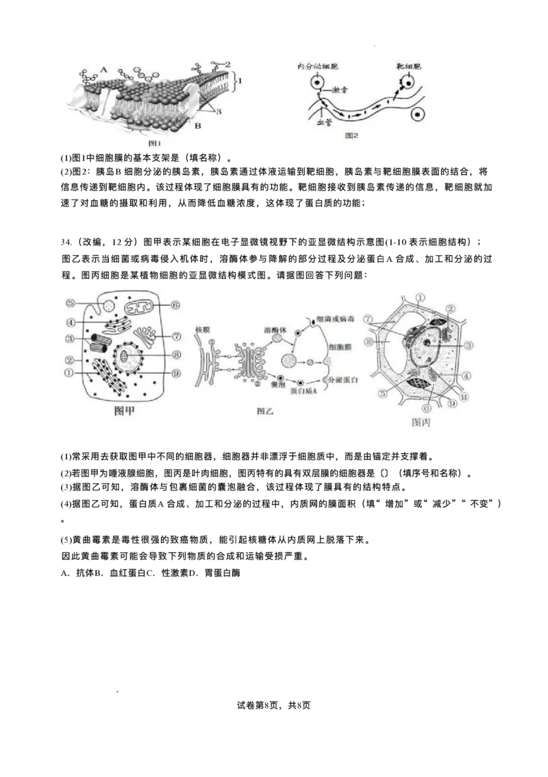 重庆市复旦中学教共体2025-2026学年高一上学期第二次段考生物试题含答案_2024-2025高一（7-7月题库）_2026年1月高一_260102重庆市复旦中学教共体2025-2026学年高一上学期第二次段考（全）