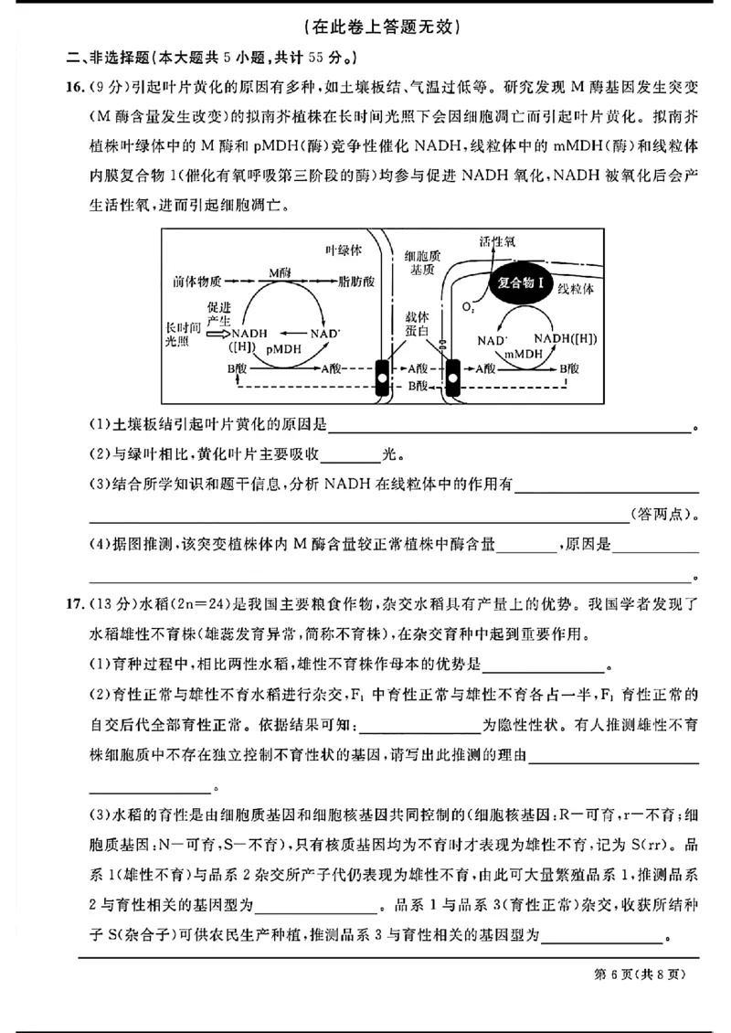天域-生物(1)_2024年3月_013月合集_2024届安徽天域全国名校协作体高三3月联考