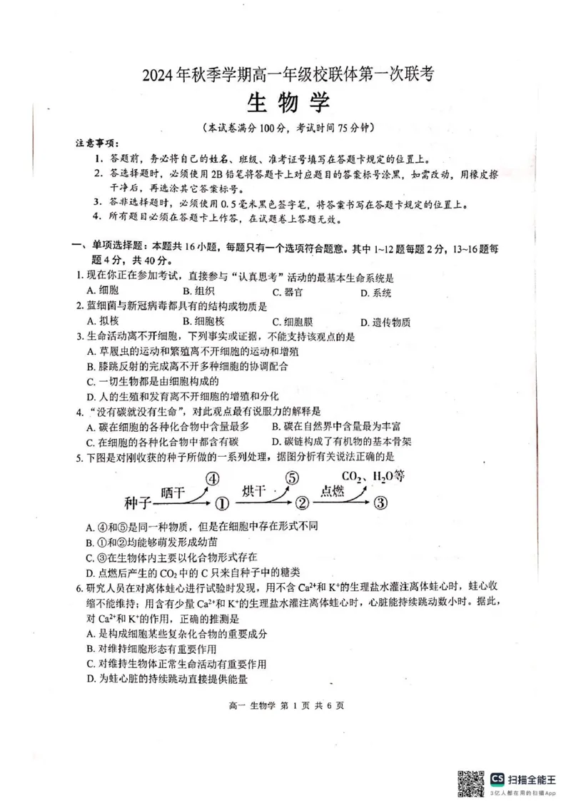 河池十校联体2024-10月考高一生物试卷_2024-2025高一（7-7月题库）_2024年11月试卷_1107广西河池十校高一联考2024-2025学年10月考