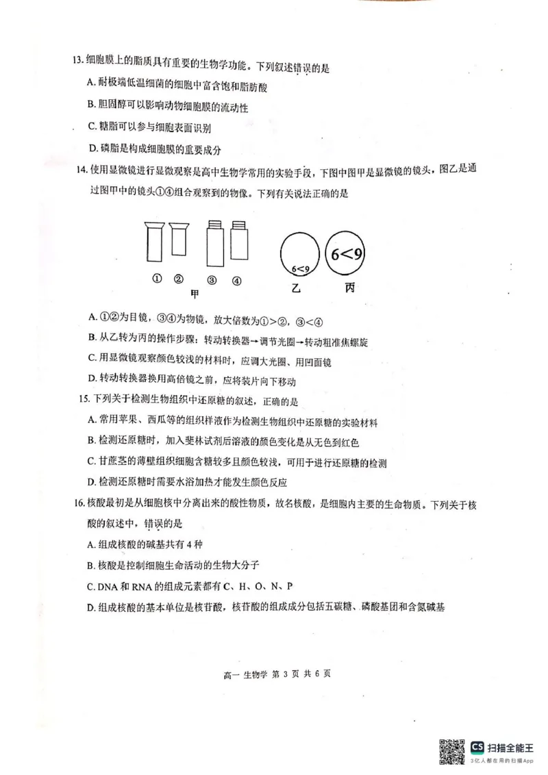 河池十校联体2024-10月考高一生物试卷_2024-2025高一（7-7月题库）_2024年11月试卷_1107广西河池十校高一联考2024-2025学年10月考