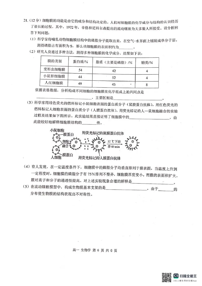 河池十校联体2024-10月考高一生物试卷_2024-2025高一（7-7月题库）_2024年11月试卷_1107广西河池十校高一联考2024-2025学年10月考