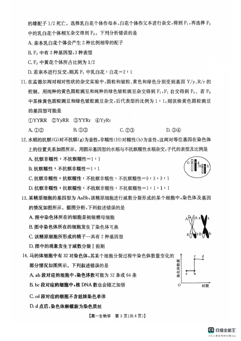河南省安鹤新联盟2024-2025学年高一下学期3月联考生物试卷（PDF版，无答案）_2024-2025高一（7-7月题库）_2025年04月试卷_0406河南省安鹤新联盟2024-2025学年高一下学期3月联考