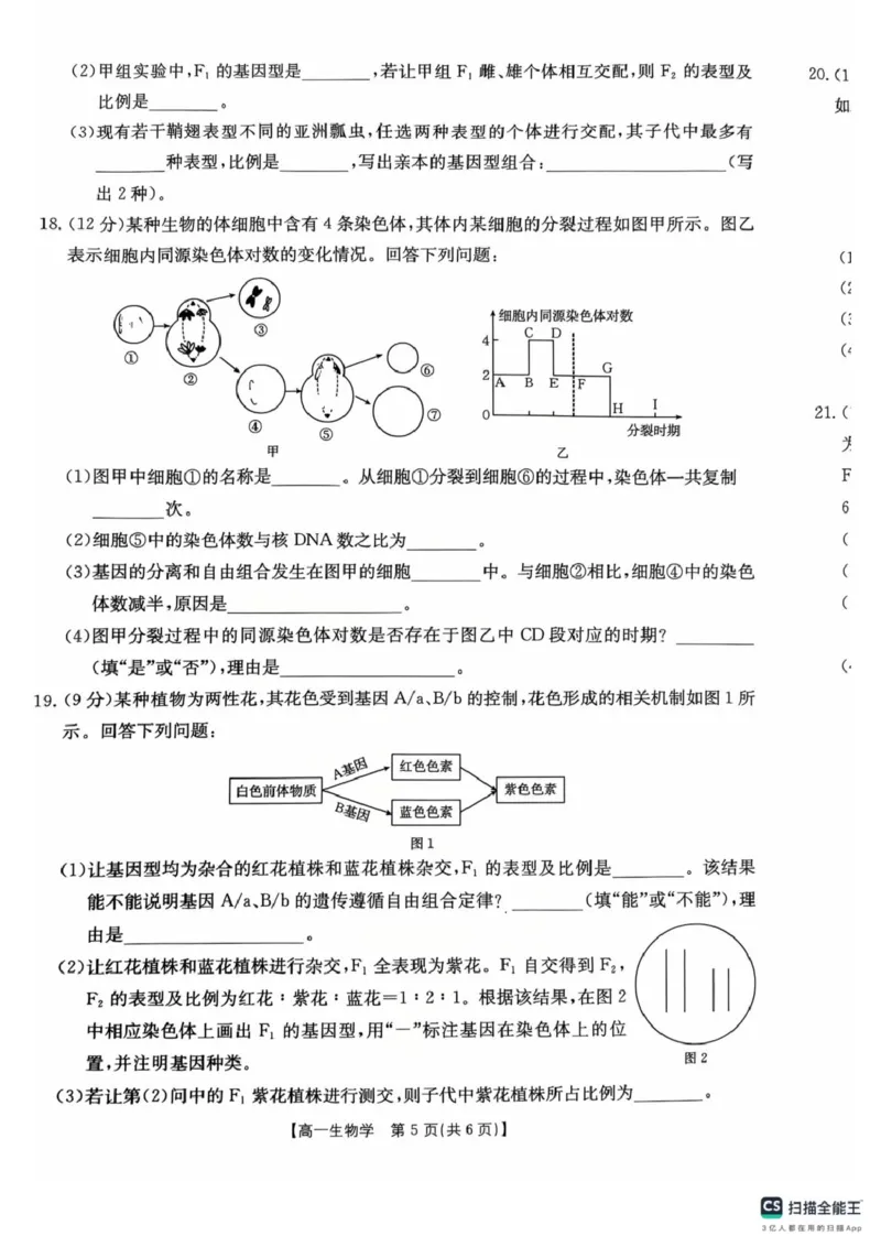 河南省安鹤新联盟2024-2025学年高一下学期3月联考生物试卷（PDF版，无答案）_2024-2025高一（7-7月题库）_2025年04月试卷_0406河南省安鹤新联盟2024-2025学年高一下学期3月联考