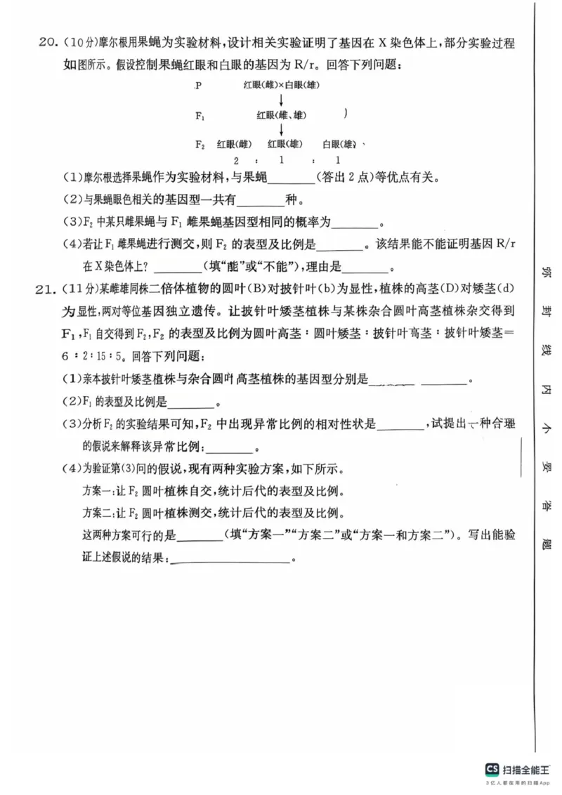 河南省安鹤新联盟2024-2025学年高一下学期3月联考生物试卷（PDF版，无答案）_2024-2025高一（7-7月题库）_2025年04月试卷_0406河南省安鹤新联盟2024-2025学年高一下学期3月联考