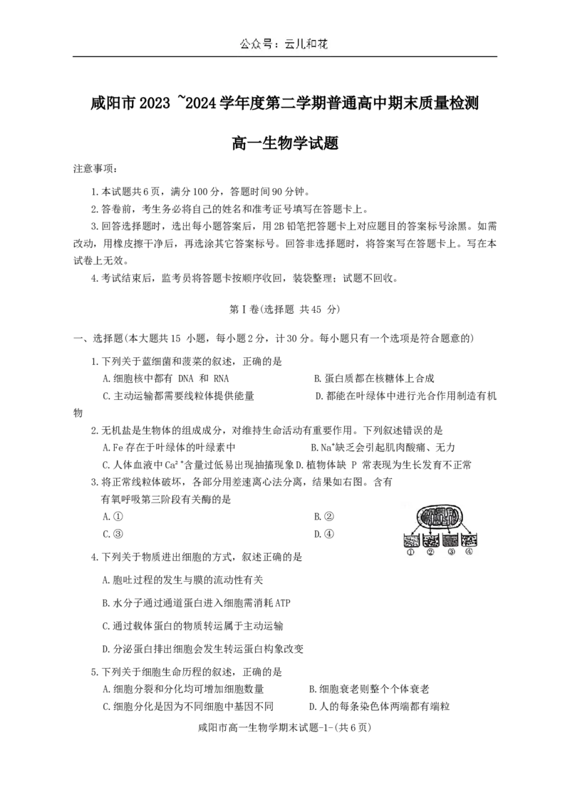 陕西省咸阳市2023-2024学年高一下学期7月期末生物试题_2024-2025高一（7-7月题库）_2024年8月试卷_0806陕西省咸阳市2023-2024学年高一下学期期末质量检测