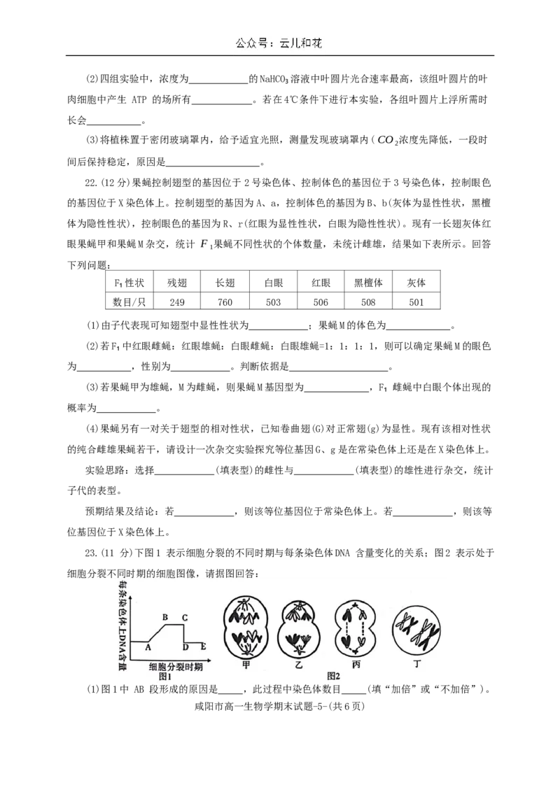 陕西省咸阳市2023-2024学年高一下学期7月期末生物试题_2024-2025高一（7-7月题库）_2024年8月试卷_0806陕西省咸阳市2023-2024学年高一下学期期末质量检测