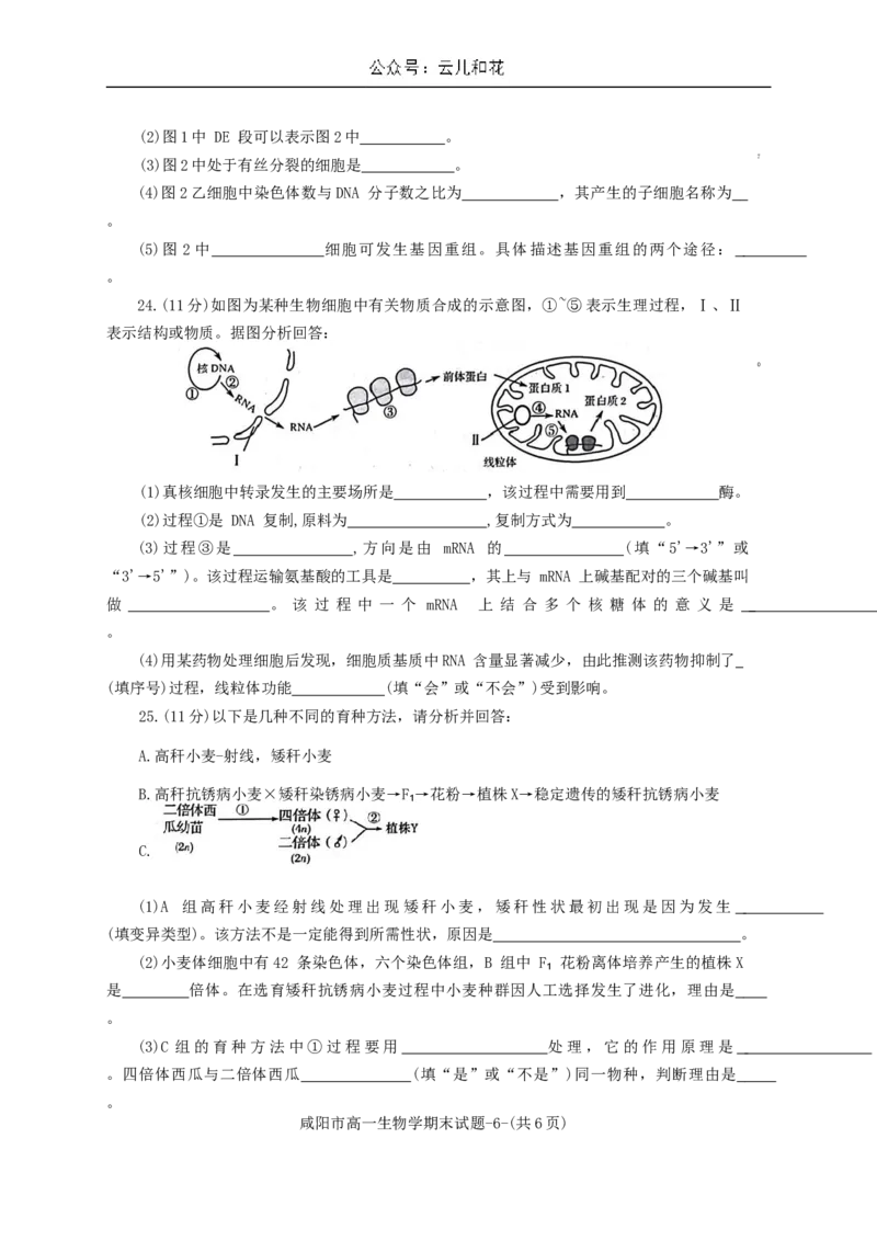 陕西省咸阳市2023-2024学年高一下学期7月期末生物试题_2024-2025高一（7-7月题库）_2024年8月试卷_0806陕西省咸阳市2023-2024学年高一下学期期末质量检测