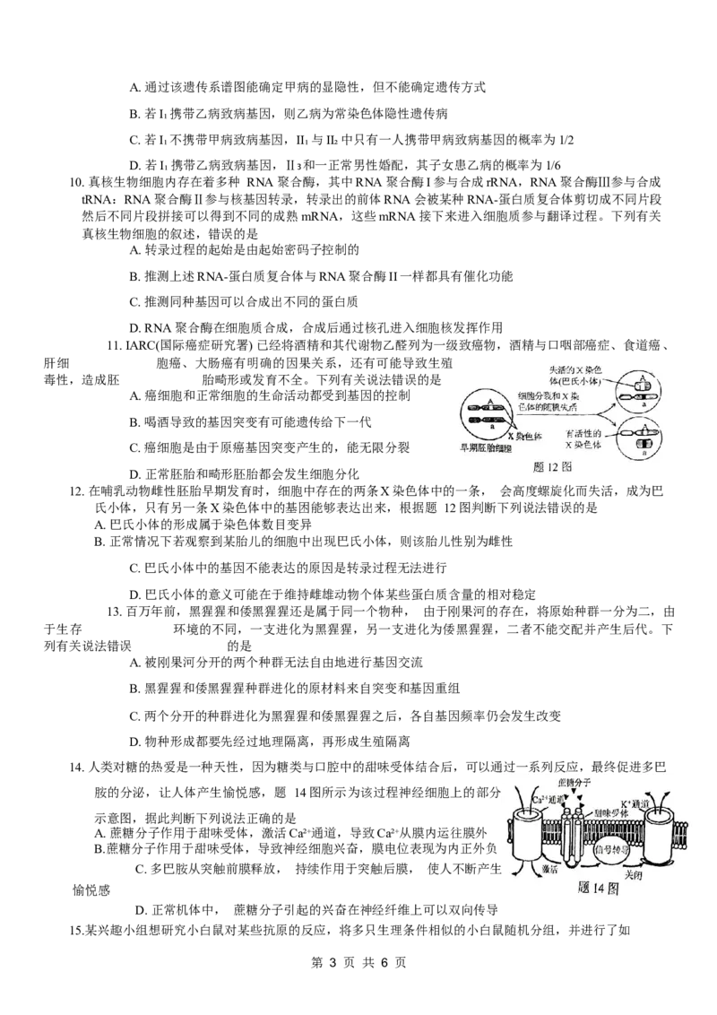 康德2024年重庆市普通高中学业水平选择性考试高考模拟调研卷（一）生物试题_2024年2月_01每日更新_26号_2024届重庆康德2024年普通高等学校招生全国统一考试高考模拟调研卷（一）