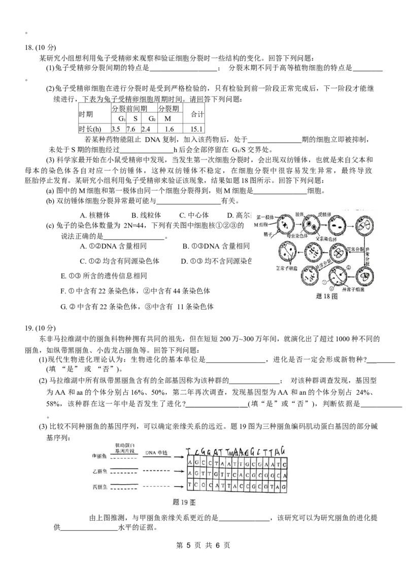 康德2024年重庆市普通高中学业水平选择性考试高考模拟调研卷（一）生物试题_2024年2月_01每日更新_26号_2024届重庆康德2024年普通高等学校招生全国统一考试高考模拟调研卷（一）