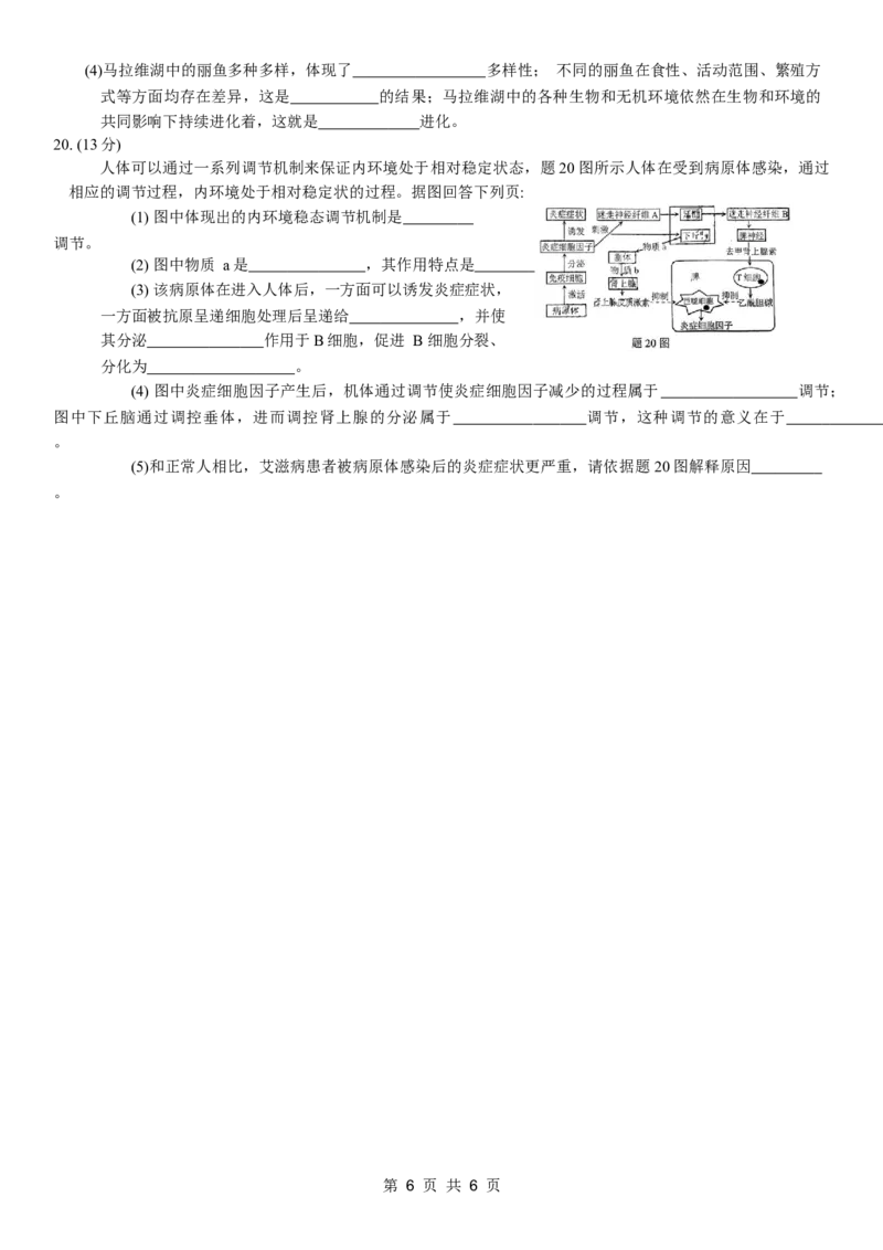 康德2024年重庆市普通高中学业水平选择性考试高考模拟调研卷（一）生物试题_2024年2月_01每日更新_26号_2024届重庆康德2024年普通高等学校招生全国统一考试高考模拟调研卷（一）