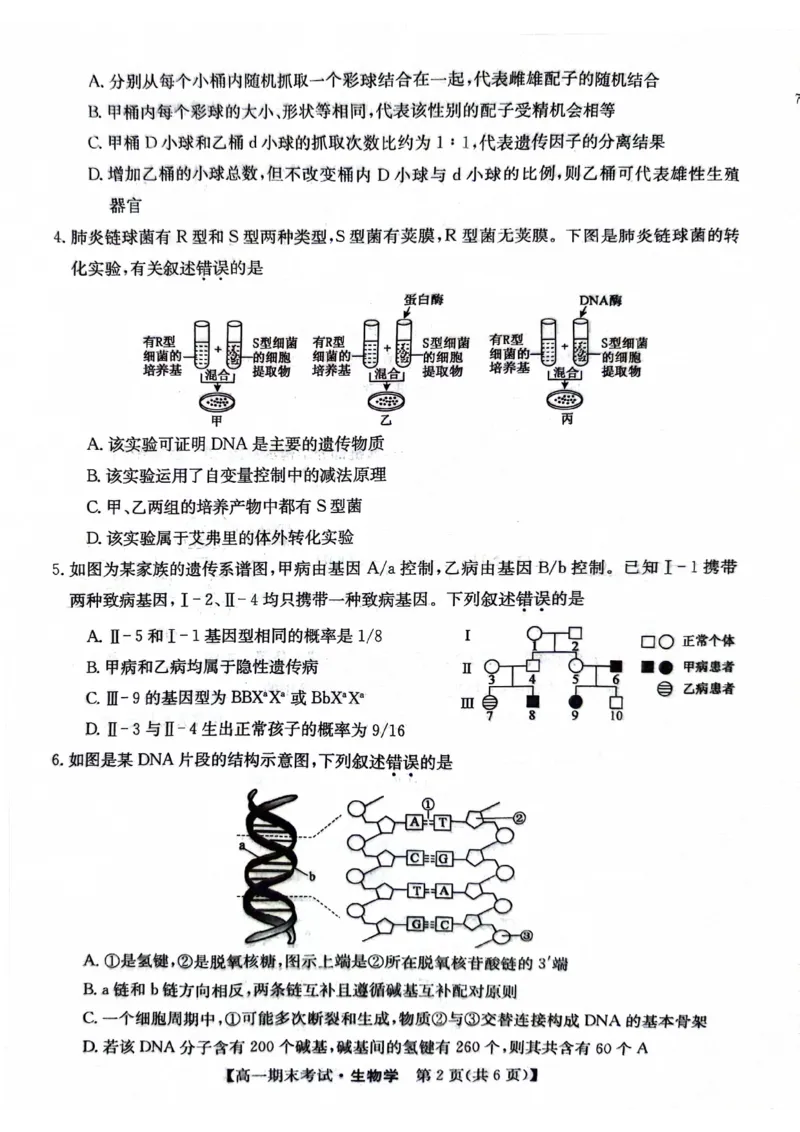 高一生物(1)_2024-2025高一（7-7月题库）_2024年8月试卷_0806甘肃省酒泉市2023-2024学年高一下学期期末考试(金太阳078A)
