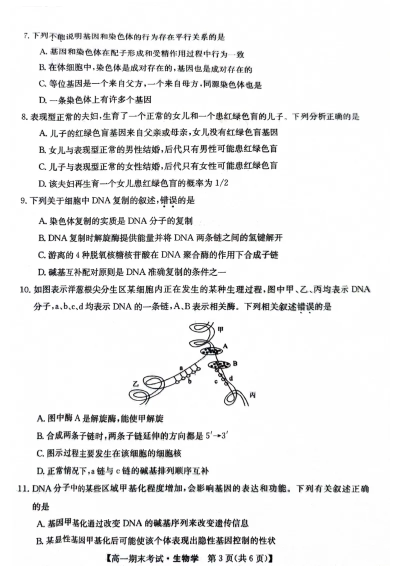 高一生物(1)_2024-2025高一（7-7月题库）_2024年8月试卷_0806甘肃省酒泉市2023-2024学年高一下学期期末考试(金太阳078A)
