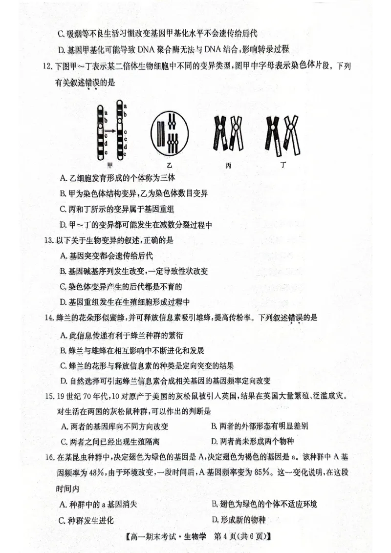 高一生物(1)_2024-2025高一（7-7月题库）_2024年8月试卷_0806甘肃省酒泉市2023-2024学年高一下学期期末考试(金太阳078A)