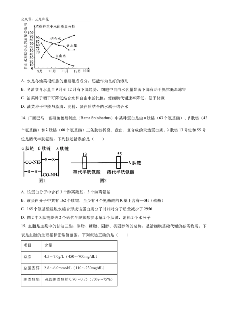 湖南省湖湘名校教育联合体2024-2025学年高一上学期10月月考试题生物Word版含答案_2024-2025高一（7-7月题库）_2024年10月试卷_1028湖南省湖湘名校教育联合体2024-2025学年高一上学期10月月考