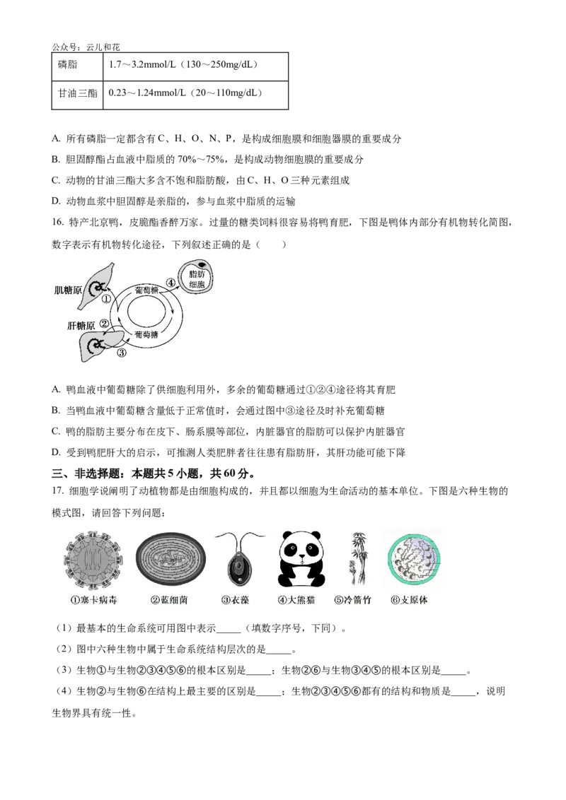 湖南省湖湘名校教育联合体2024-2025学年高一上学期10月月考试题生物Word版含答案_2024-2025高一（7-7月题库）_2024年10月试卷_1028湖南省湖湘名校教育联合体2024-2025学年高一上学期10月月考