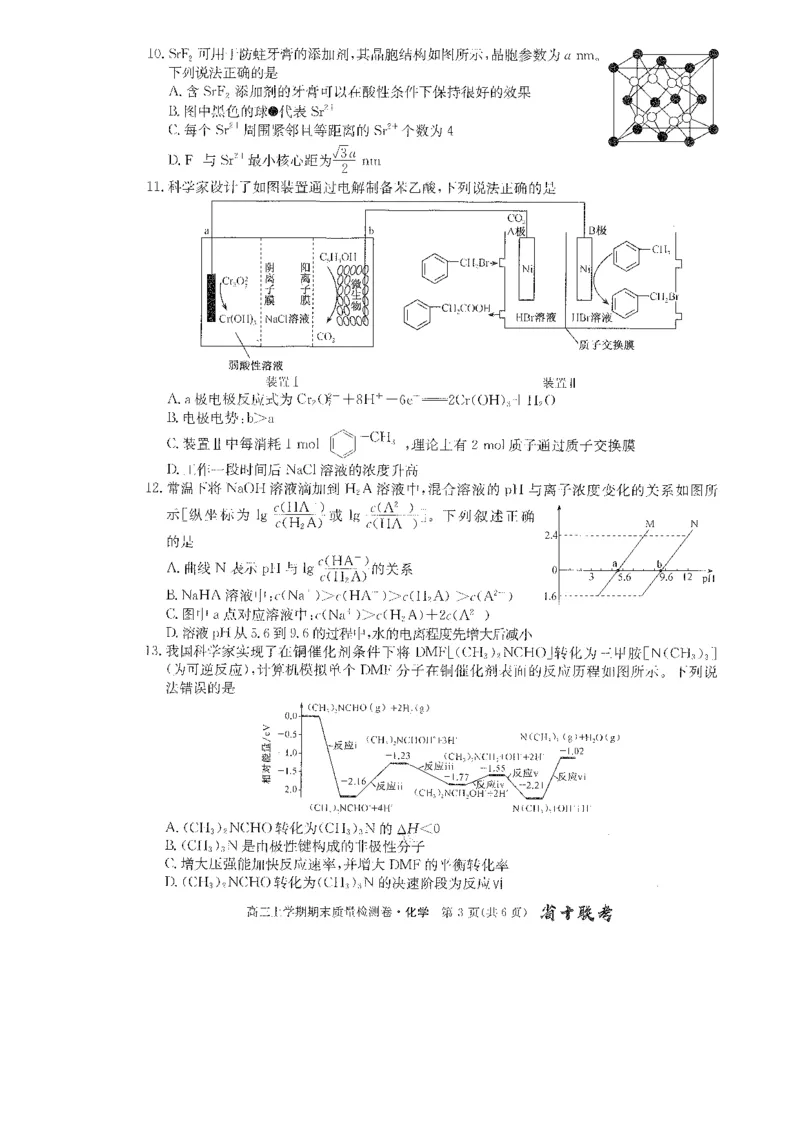 安徽省合肥市第一中学2023-2024学年高三上学期期末考试化学试题_2024年2月_01每日更新_01号_2024届安徽省合肥市第一中学高三上学期期末质量检测