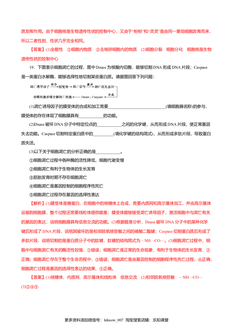 第6章细胞的生命历程B卷（解析版）_E015高中全科试卷_生物试题_必修1_1.单元测试_3.单元测试（第三套）_第6章细胞的生命历程B卷-高一生物学同步单元AB卷（2019人教版必修1）