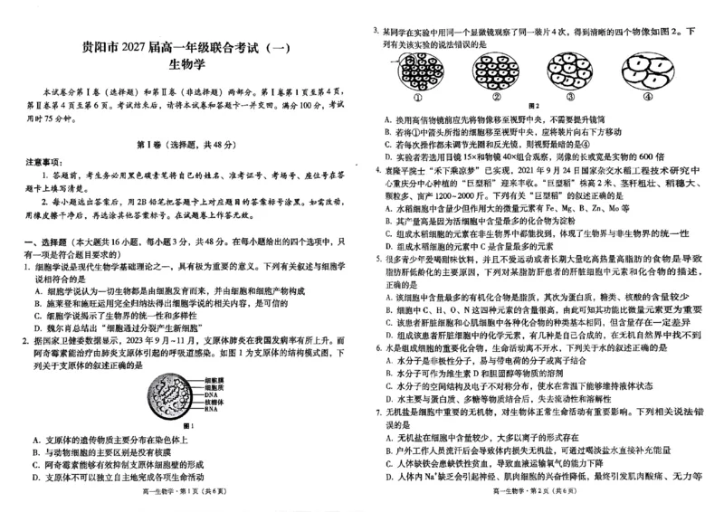 贵州省贵阳市2024-2025学年高一上学期10月联合考试（一）生物PDF版含解析_2024-2025高一（7-7月题库）_2024年11月试卷_1104贵州省贵阳市2024-2025学年高一上学期10月联合考试（一）