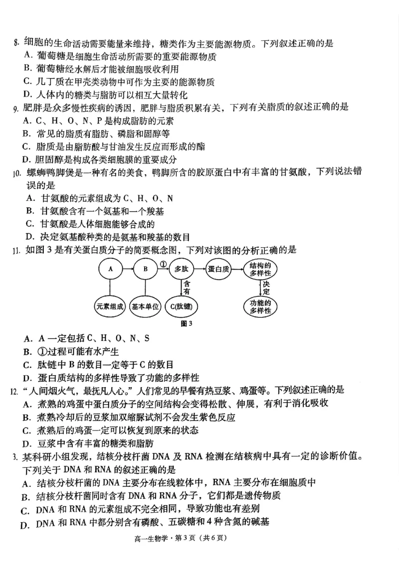 贵州省贵阳市2024-2025学年高一上学期10月联合考试（一）生物PDF版含解析_2024-2025高一（7-7月题库）_2024年11月试卷_1104贵州省贵阳市2024-2025学年高一上学期10月联合考试（一）